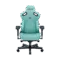 Gaming Chairs & Desk